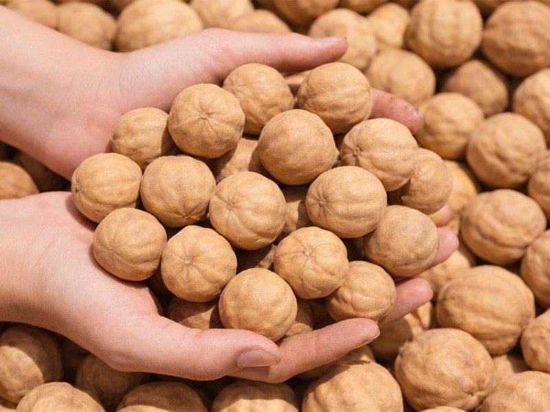 Food Commodities Trading